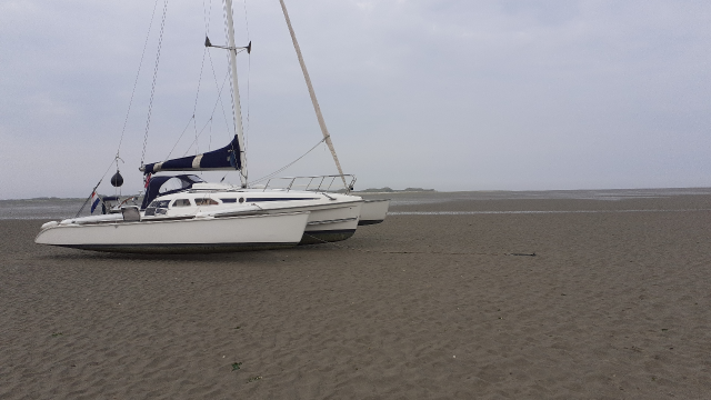 ameland noord de hon